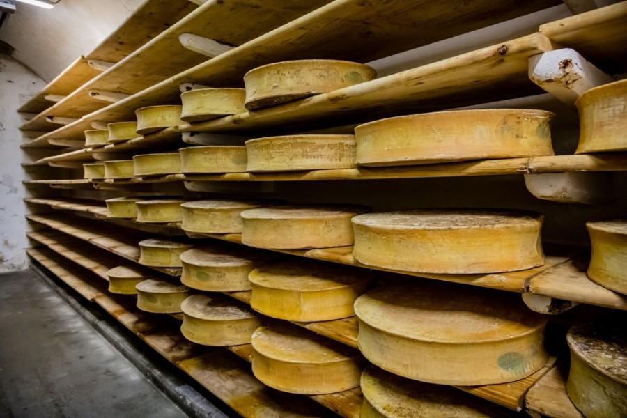 Comment planifier une visite de la route des fromages en Savoie pour découvrir les spécialités locales ?
