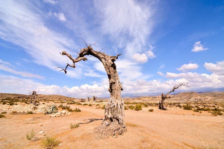 Quelles sont les meilleures périodes pour visiter le désert en Andalousie ?