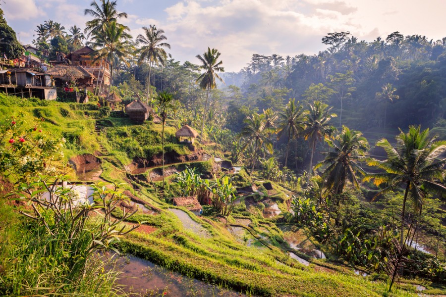 Quels sont les meilleurs endroits à visiter en 10 jours à Bali ?